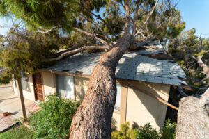 roof damage claims
