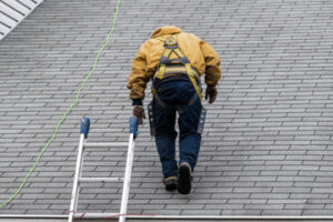 roof maintenance